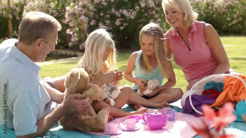 Grandparents and two granddaughters having teddy bears picnic in park. Grandparents and two granddaughters having teddy bears picnic in park.