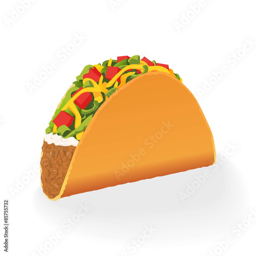 Taco vector illustration