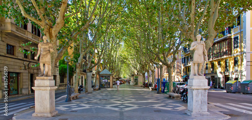 Fotomurale Passeig Borne - Palma de Mallorca