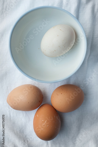A egg separate to three eggs.