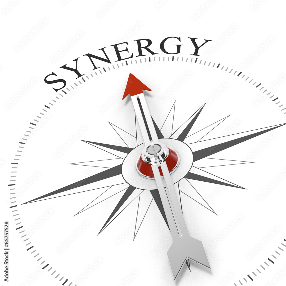 Compass Synergy Compass Synergy