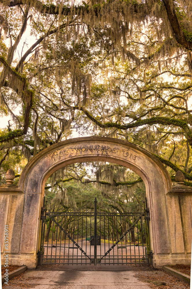 Obraz premium Wormsloe Plantation Historic Site near Savannah, Georgia