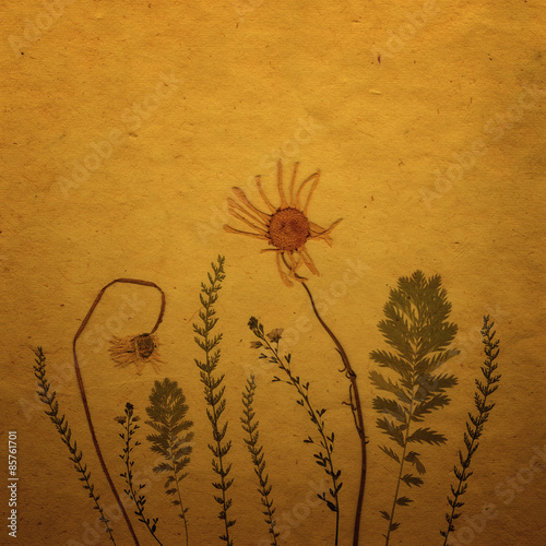 Sepia Vintage card with Leaves, flowers and Old Paper Texture.