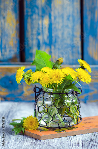 Bunch of yellow dandelions 