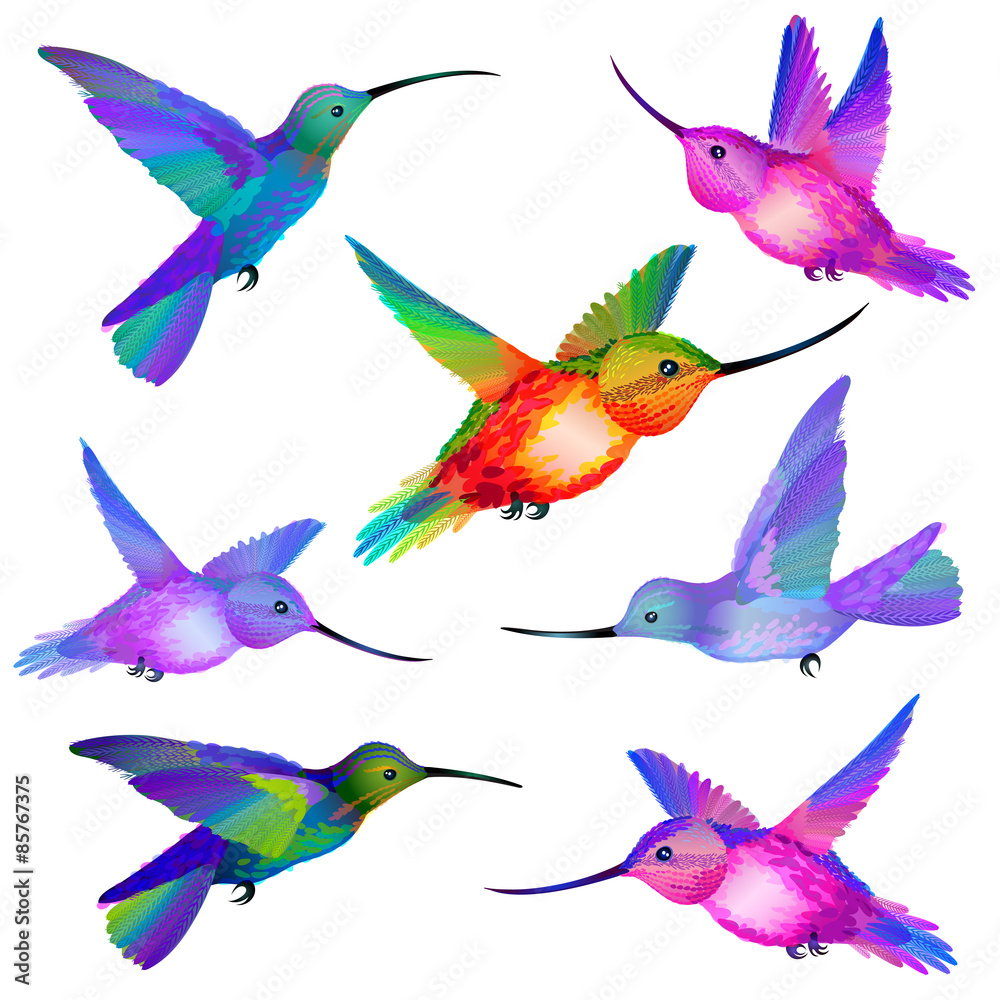 Set of isolated Humming birds