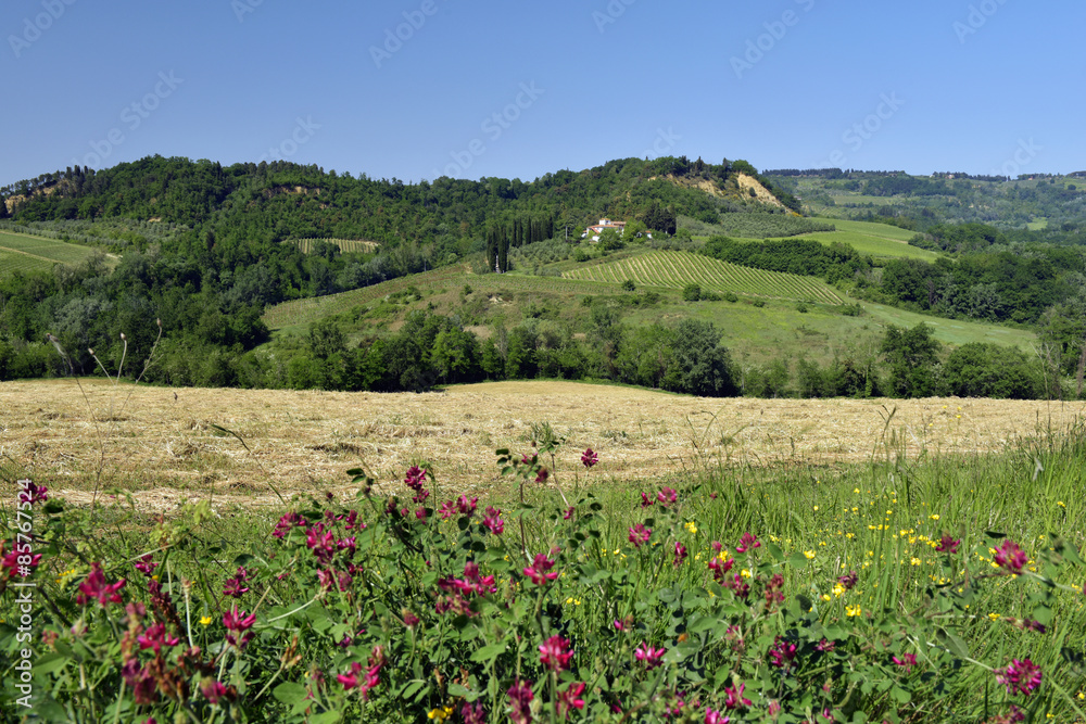 Spring landscape. Tuscany, Italy