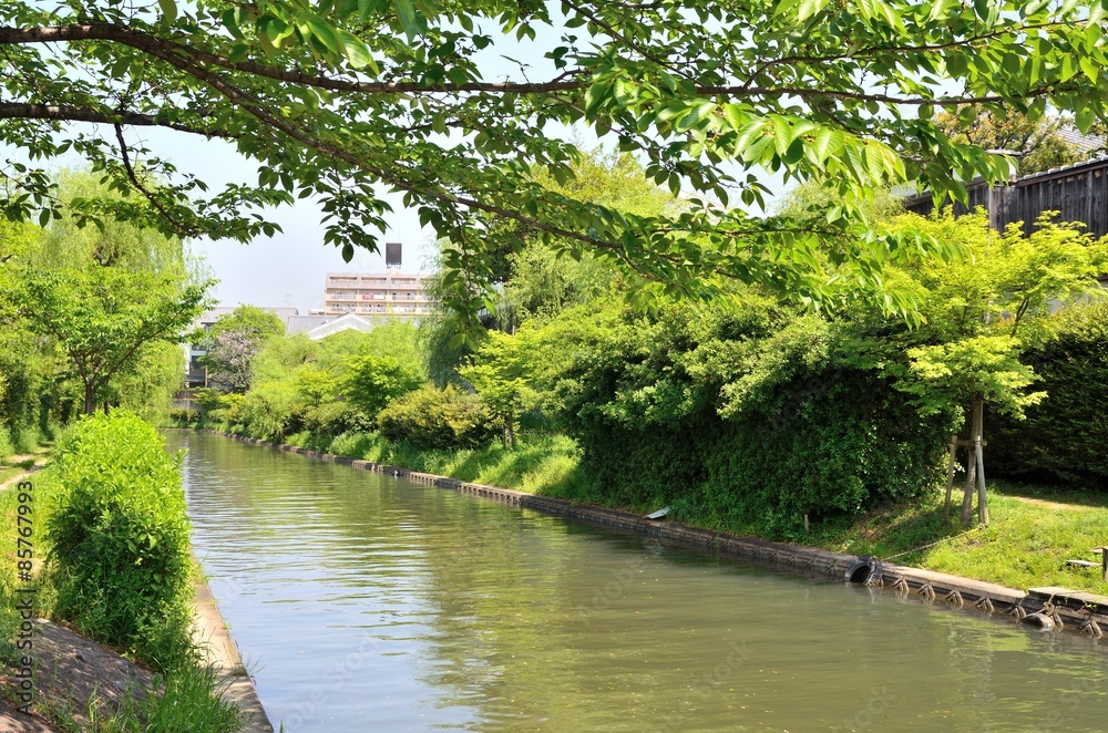 京都 伏見濠川 京都 伏見濠川