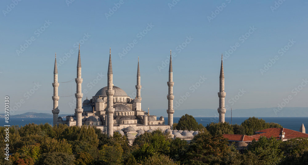 Obraz premium Blue Mosque Istanbul