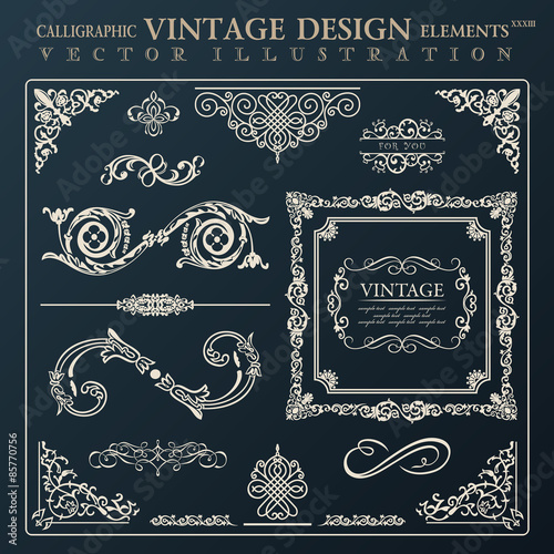 Calligraphic design elements vintage ornament. Vector frame deco