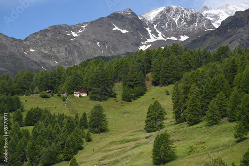 paesaggio di montagna baite chalet alberi bosco