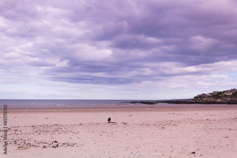 Beach with beautiful sky, Scotland Beach with beautiful sky, Scotland