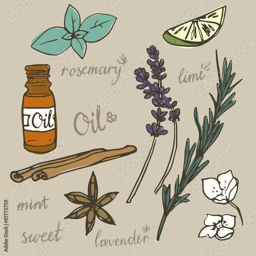 Aromatherapy elements vector set
