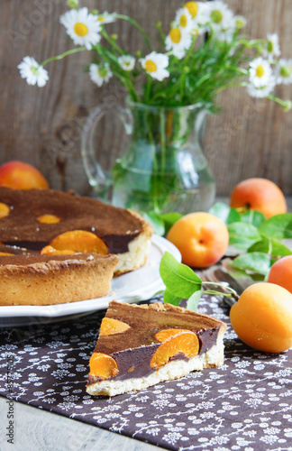cake with chocolate and apricots