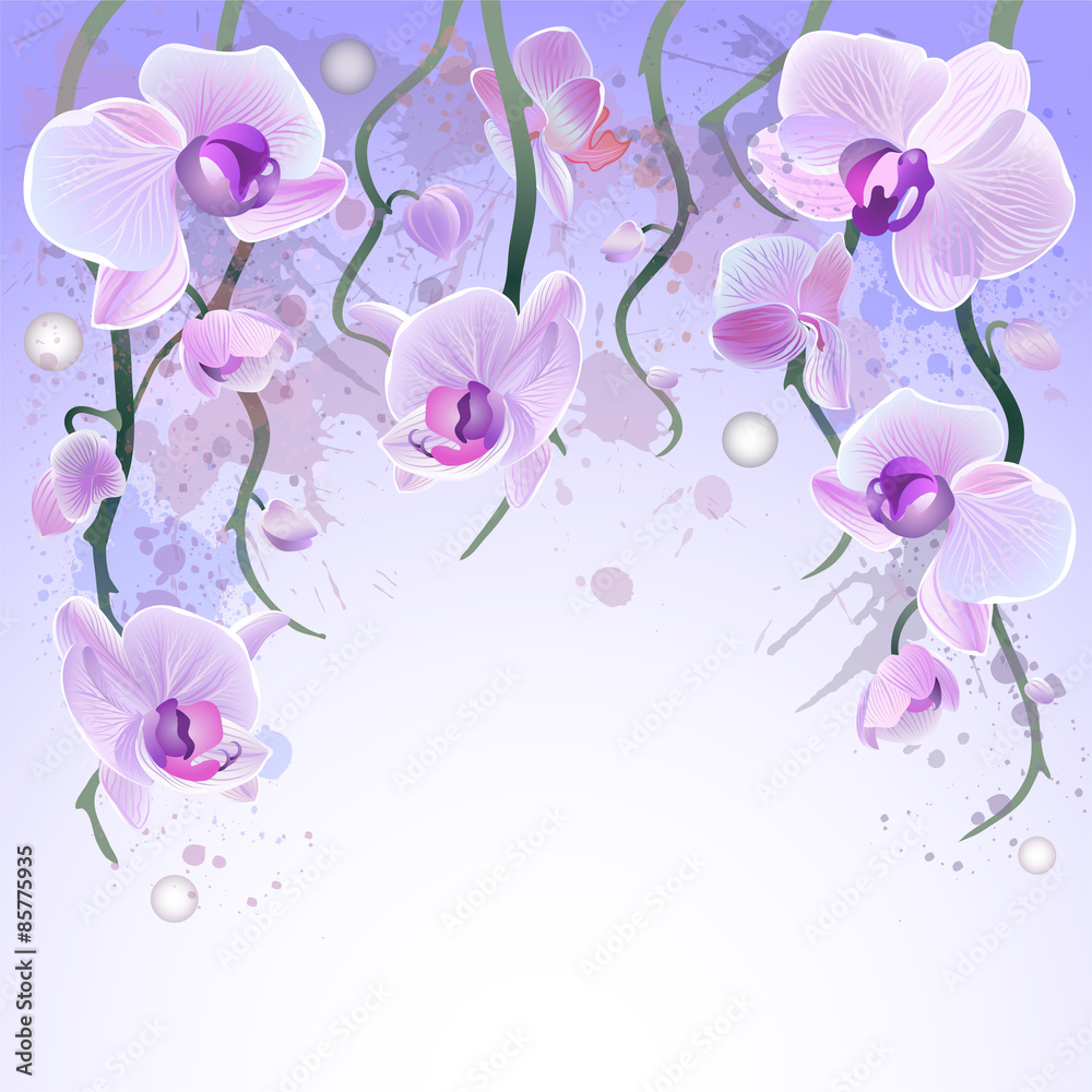 Fototapeta Wektorowy akwareli tło z orchideami