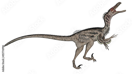 Velociraptor dinosaur - 3D render © Elenarts