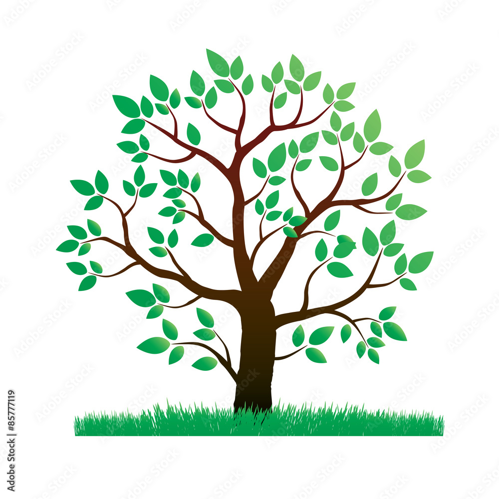 Illustration of Color Tree and Grass Illustration of Color Tree and Grass