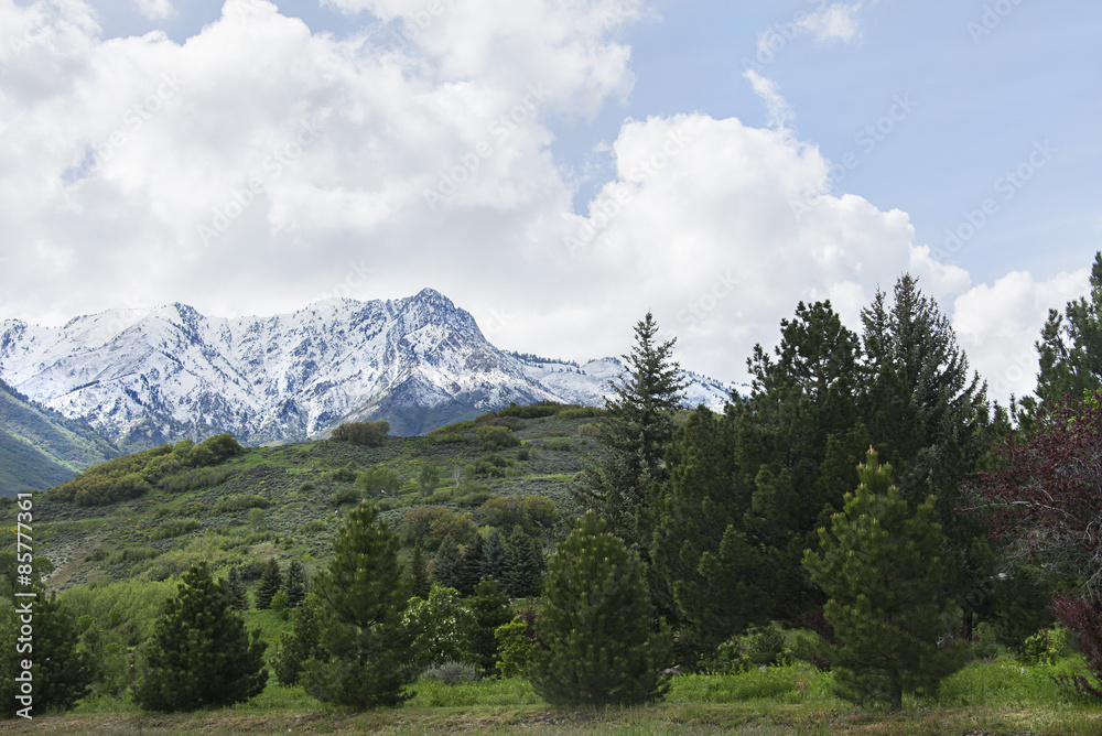 Mount Ogden in Mountain Green Utah