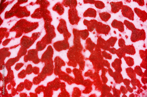 Orchid flowers texture,Petal texture