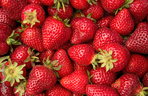 Freshly picked strawberries for healthy living
