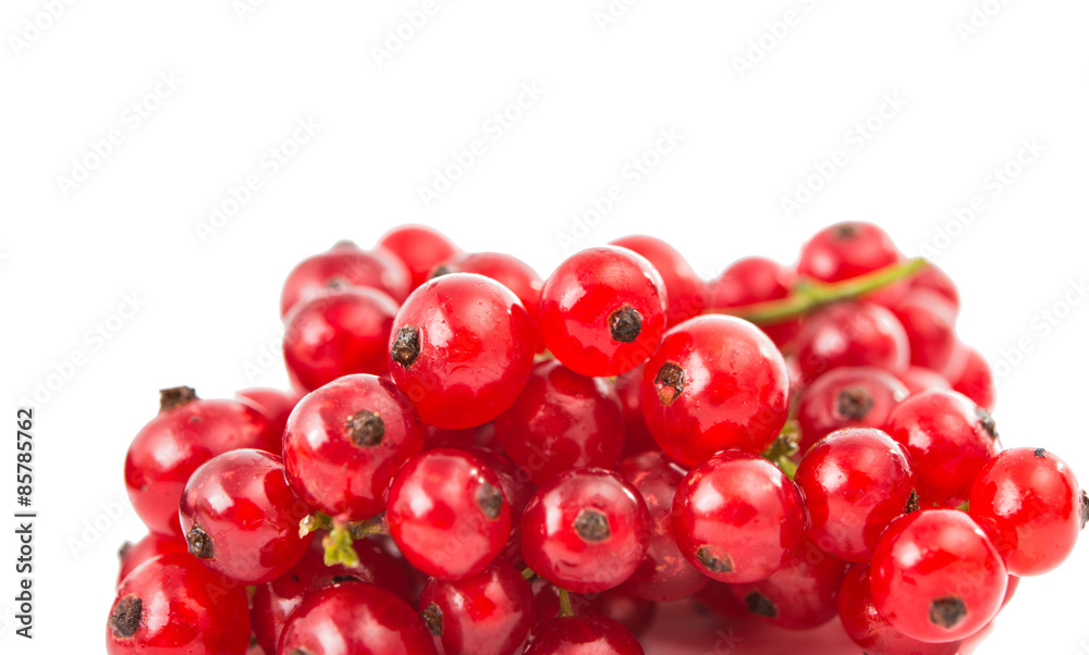 currants currants