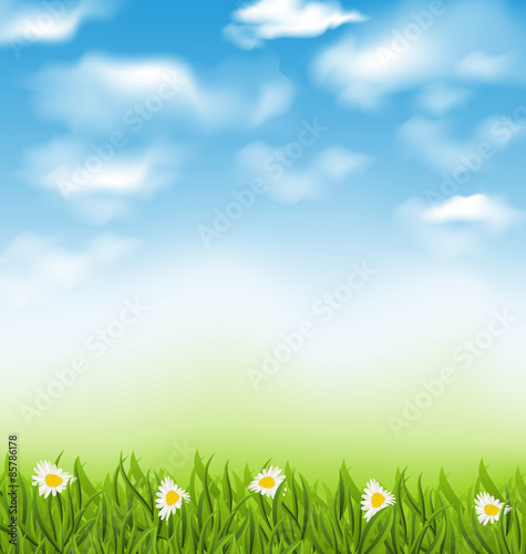 Spring natural background with blue sky  clouds  grass field and