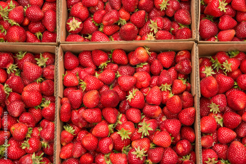 Boxes of freshly picked strawberries for healthy living 
