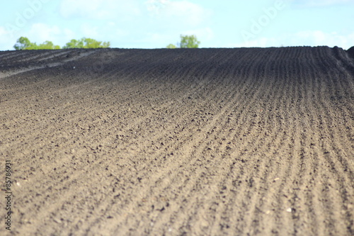plowed land ready for planting potato in the village