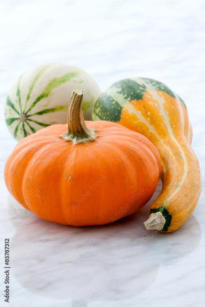 organic summer squash organic summer squash