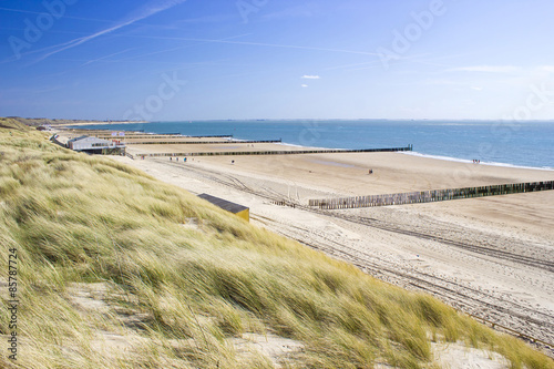 the dunes, Zoutelande, the Netherlands photo