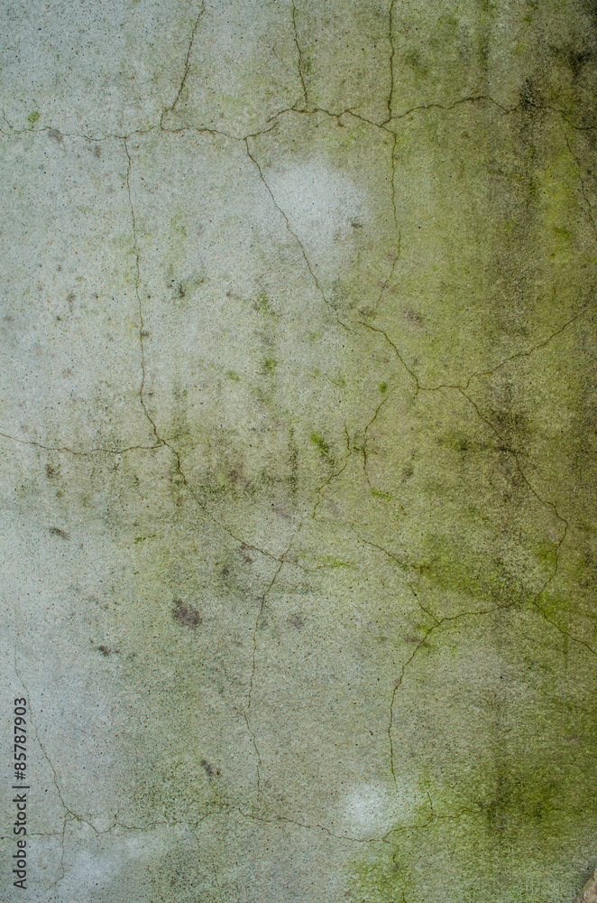 Obraz premium The pattern on the old wall