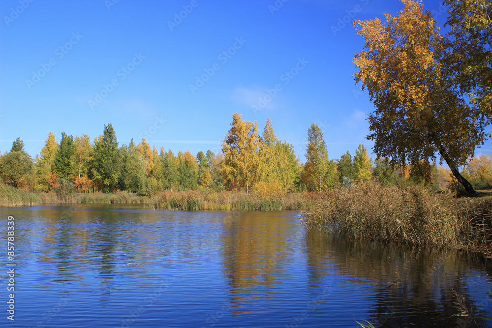 Autumn landscape - pond in the park Autumn landscape - pond in the park