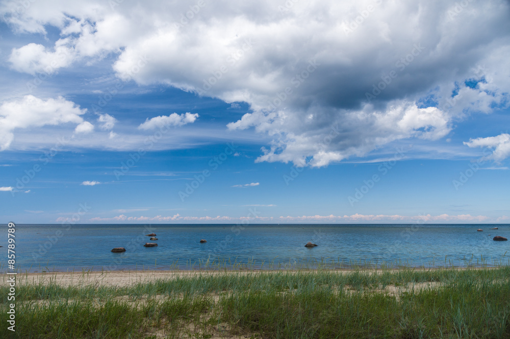 Calm Baltic sea shore with sedge grass Calm Baltic sea shore with sedge grass