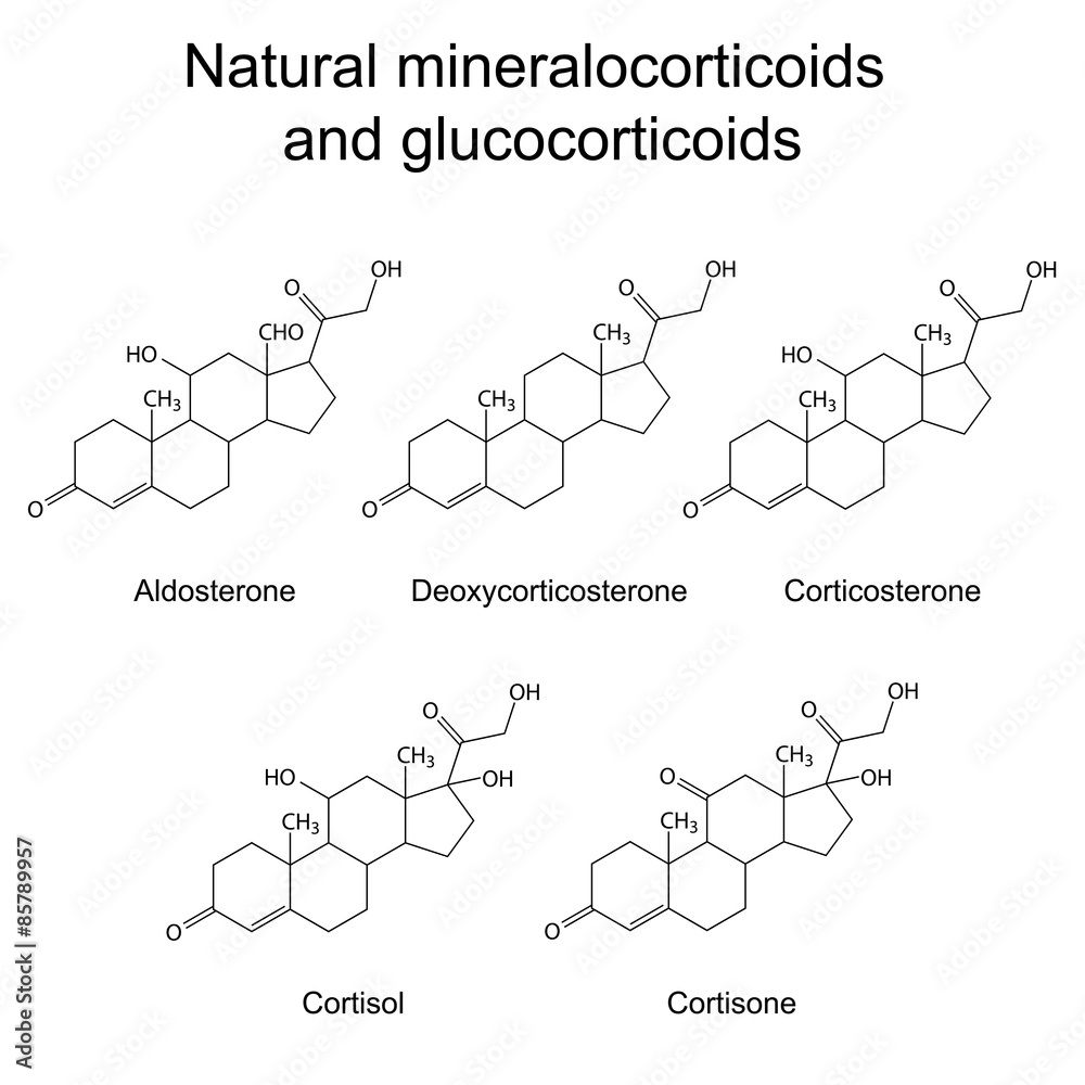 Chemical structures of  corticosteroid hormones