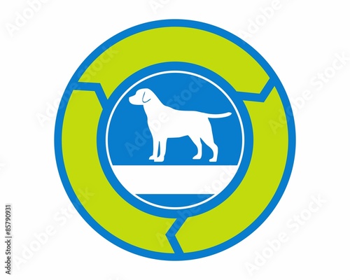 silhouette white dog