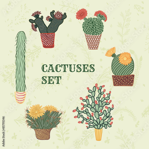 Flat colorful illustration of succulent plants and cactuses in pots. Vector botanical graphic set with cute florals.