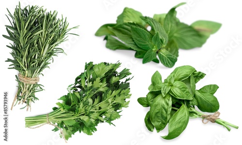 Basil, Herb, Freshness.