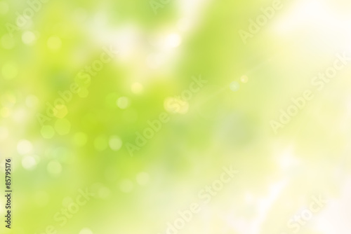 Bokeh Natur