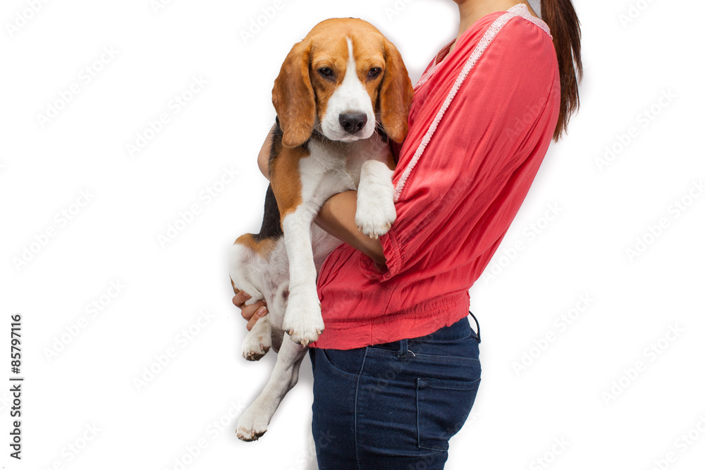 Teen girl holding her pet (beagle dog)