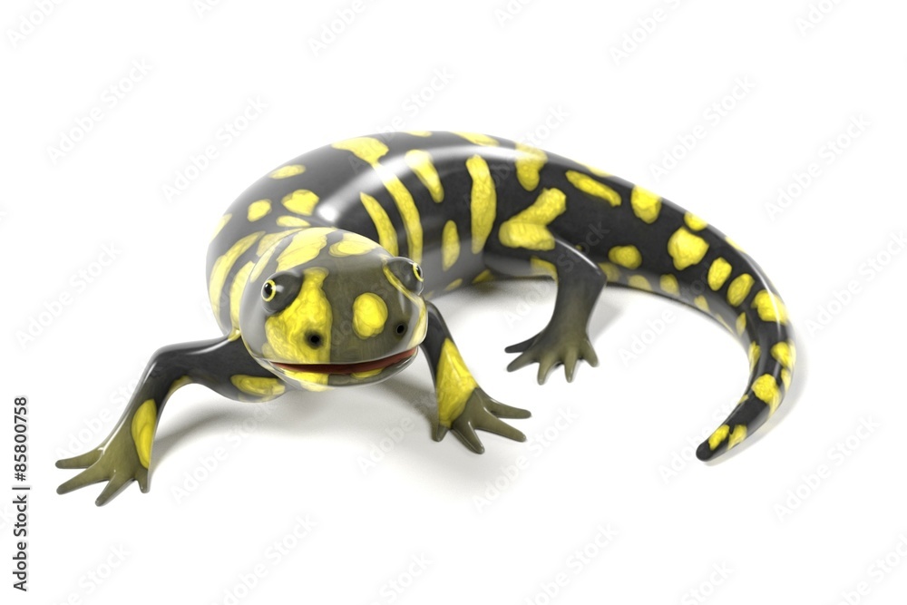 Fototapeta premium 3d render of tiger salamander