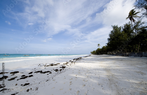Fototapeta Naklejka Na Ścianę i Meble -  Zanzibar, the beach of the eastern coast