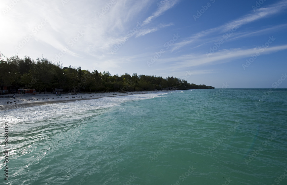 Zanzibar, the beach of the eastern coast Zanzibar, the beach of the eastern coast
