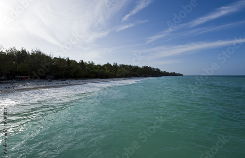 Zanzibar, the beach of the eastern coast