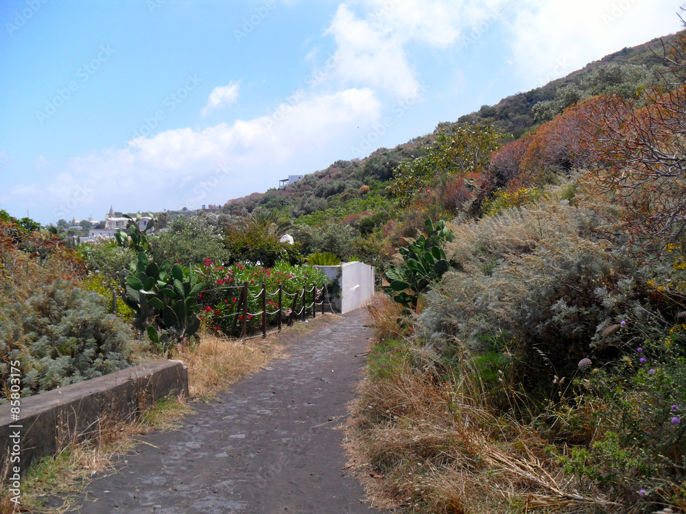 La montée du volcan Stromboli