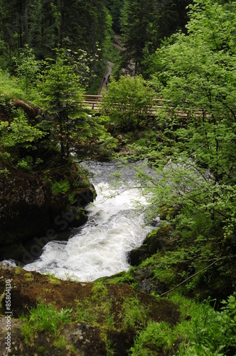 Triberg Waterfalls in Black Forest (Schwarzwald), Germany