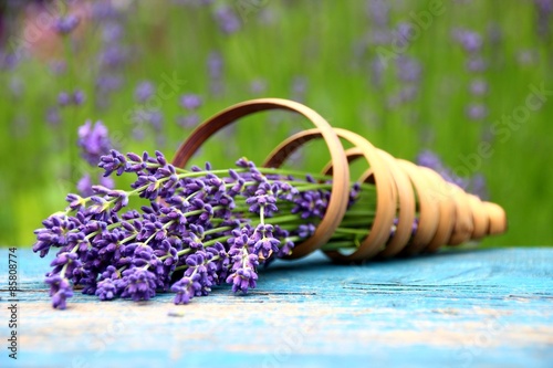 Fototapeta Naklejka Na Ścianę i Meble -  lavendel