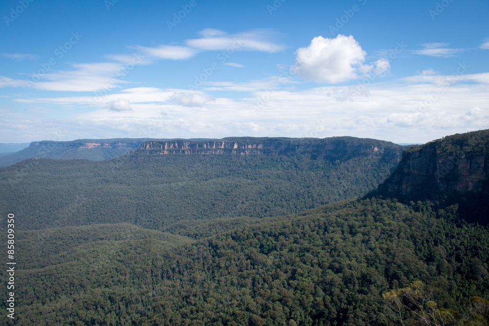 Obraz premium Les blue mountains