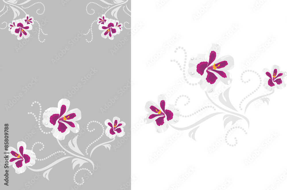 Decorative elements with stylized pelargonium flowers