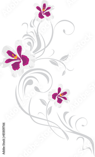 Fototapeta Naklejka Na Ścianę i Meble -  Ornamental element with pelargonium flowers