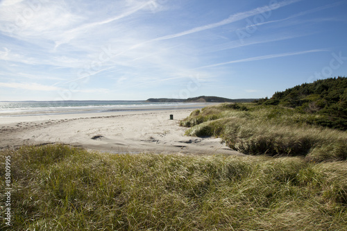 grassy sand dunes in nova scotia