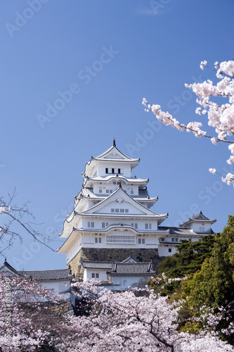 Wallpaper Mural 姫路城と桜、改修後-8 Torontodigital.ca